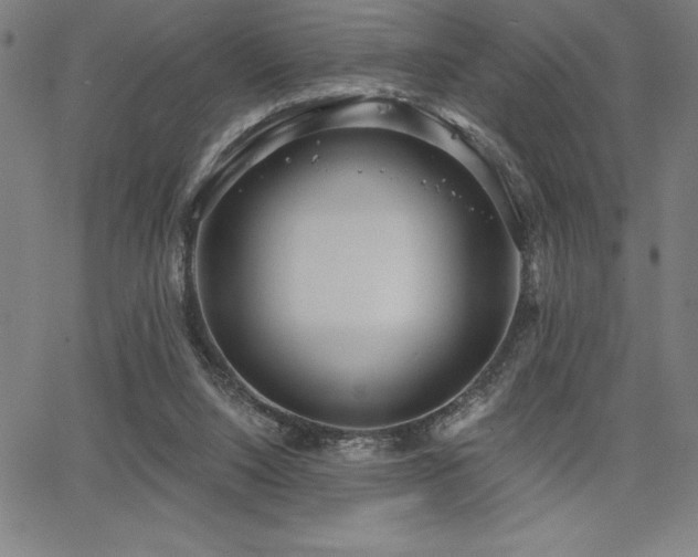 X0000068260064200604211055