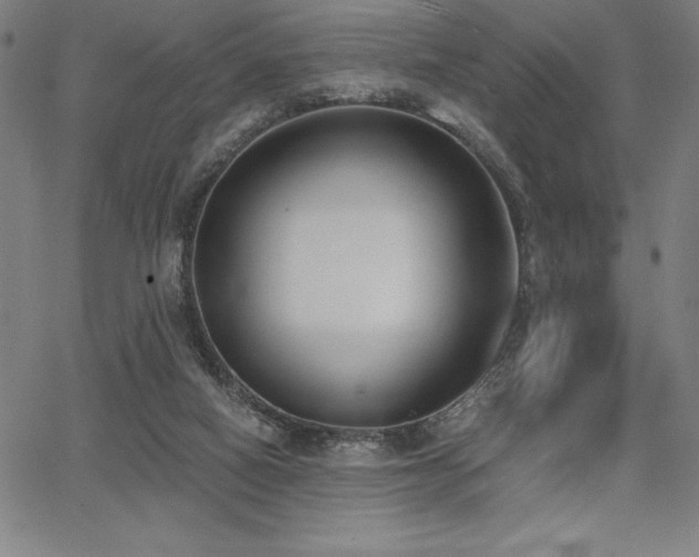 X0000068260066200604211055