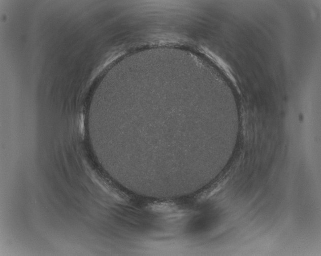 X0000068260067200604211055