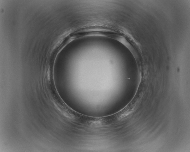 X0000068260068200604211055