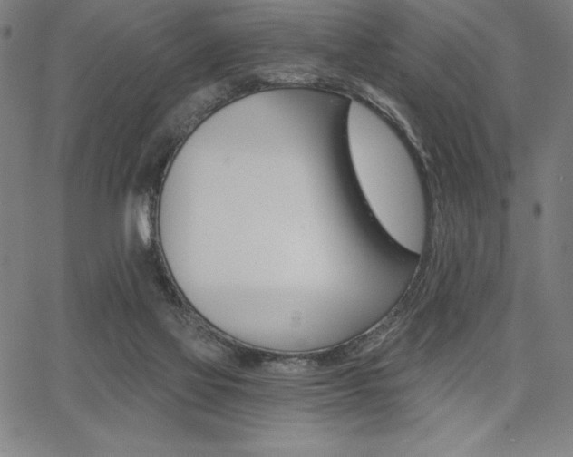 X0000068260069200604211055