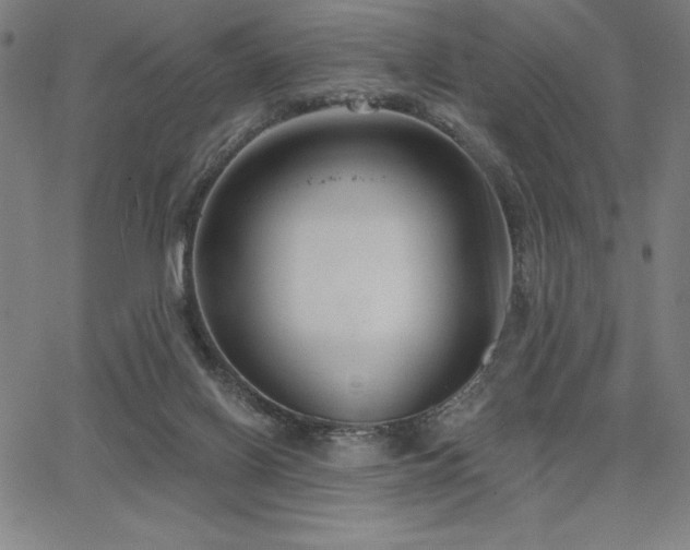 X0000068260070200604211055