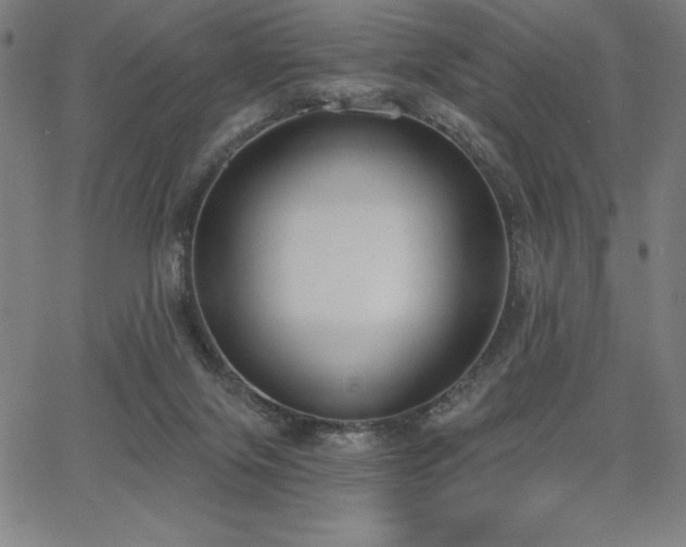 X0000068260071200604211055