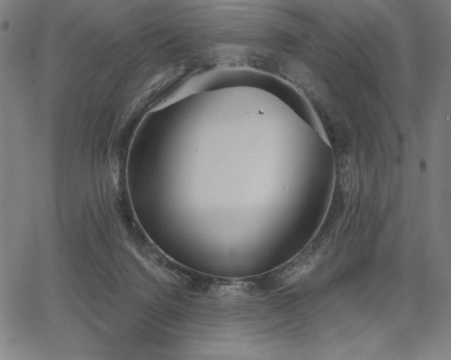 X0000068260072200604211055