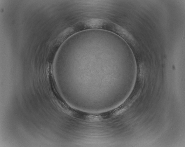 X0000068260073200604211055