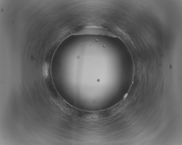 X0000068260075200604211055