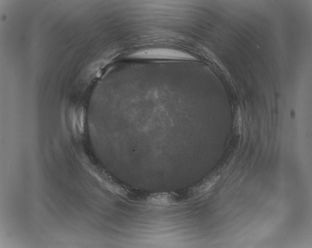 X0000068260076200604211055