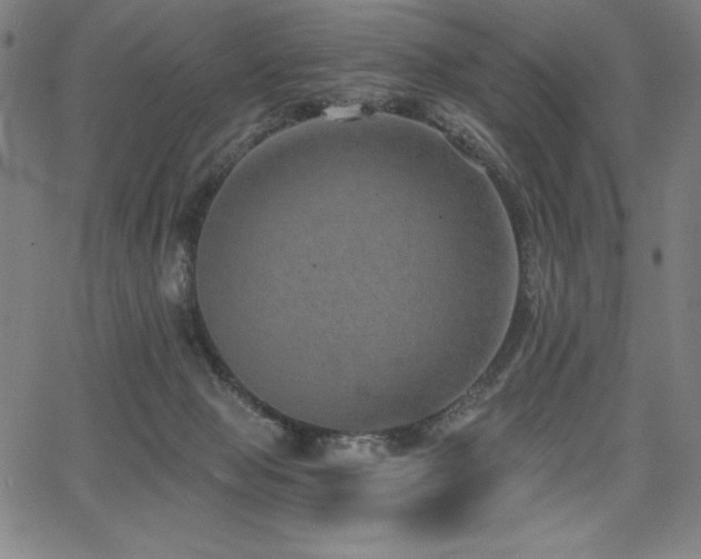 X0000068260077200604211055