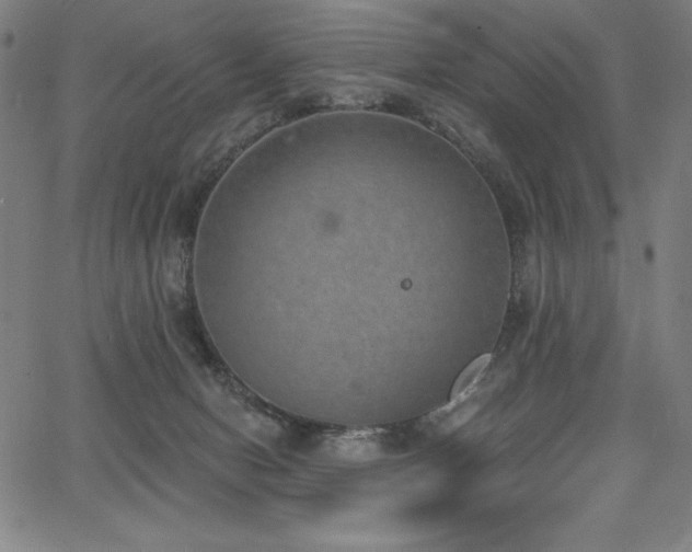 X0000068260078200604211055