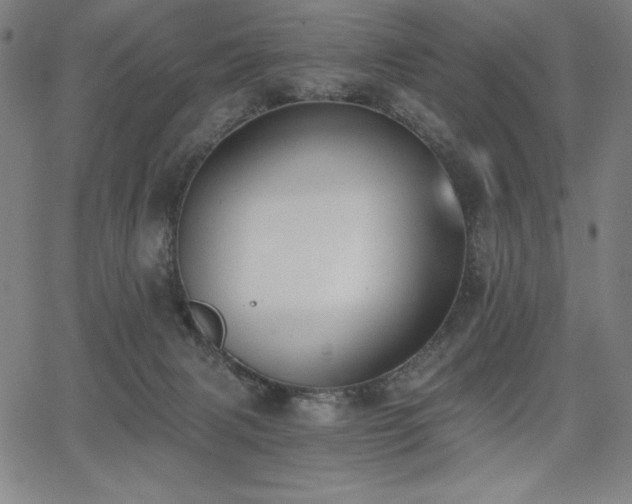 X0000068260079200604211055