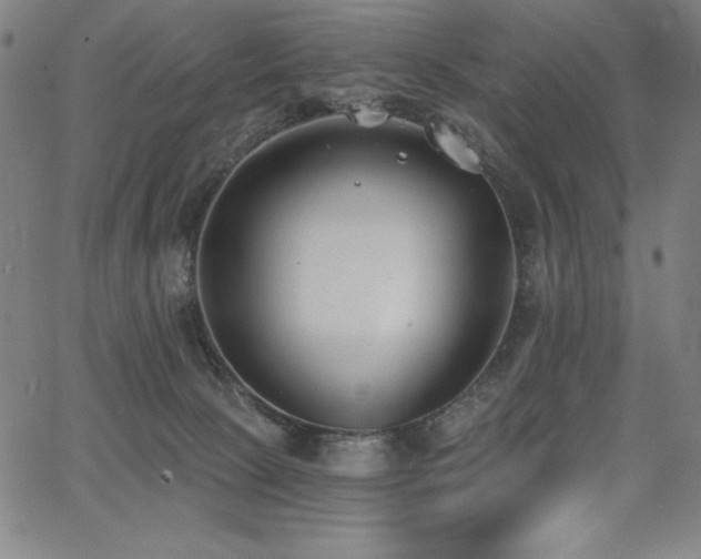 X0000068260081200604211055