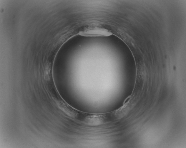 X0000068260082200604211055