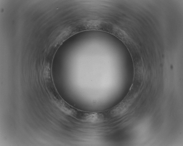 X0000068260083200604211055