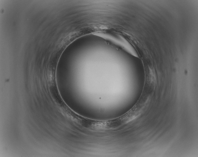 X0000068260084200604211055