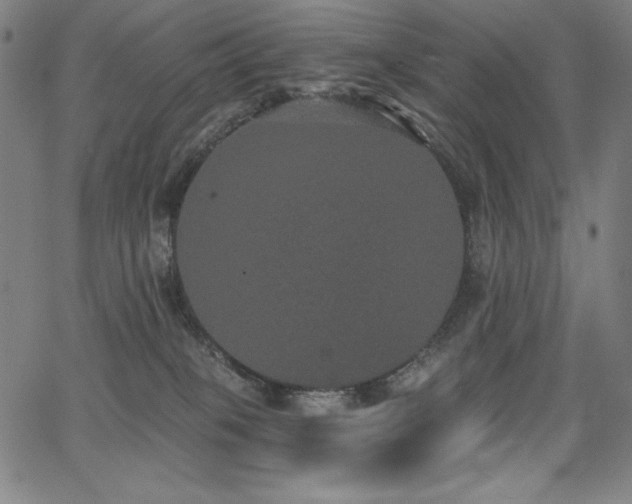 X0000068260085200604211055