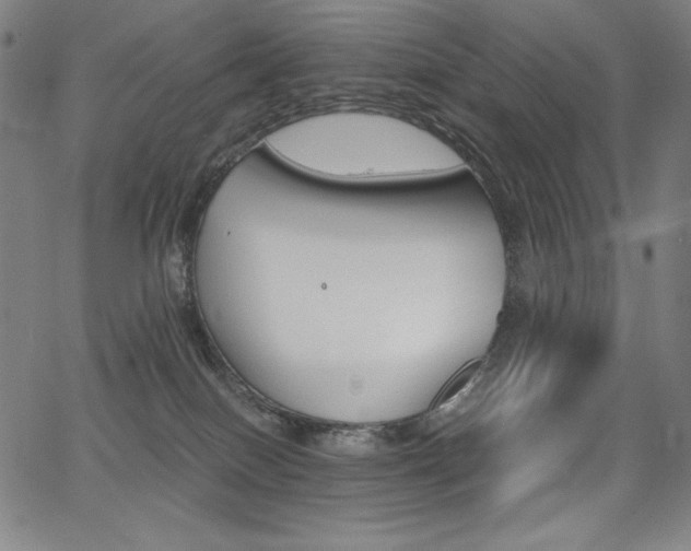 X0000068260086200604211055