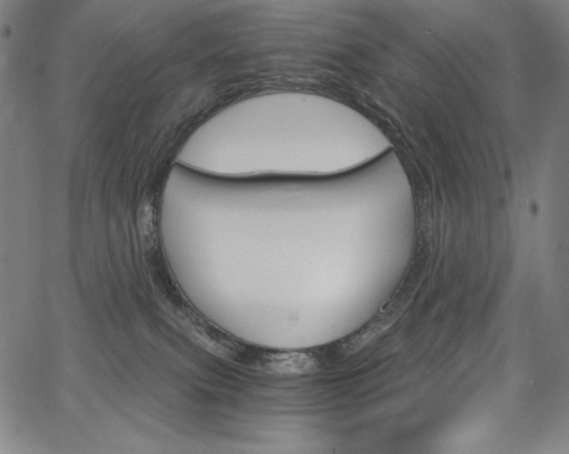 X0000068260087200604211055