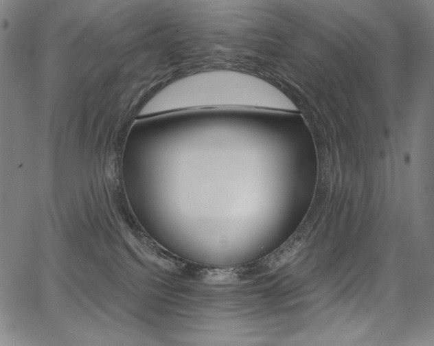 X0000068260088200604211055