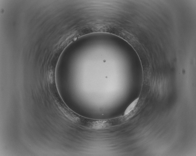 X0000068260090200604211055