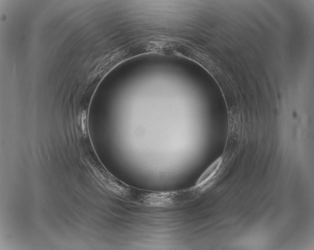 X0000068260094200604211056