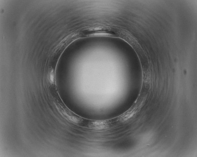 X0000068260095200604211056