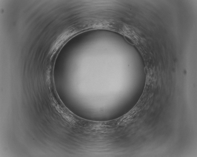 X0000068260098200604211055