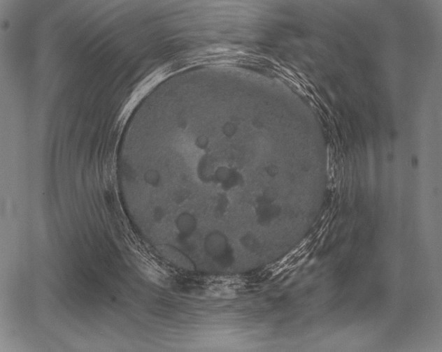 X0000068260099200604211055