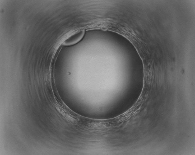 X0000068260100200604211055