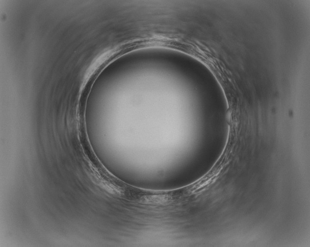 X0000068260102200604211055