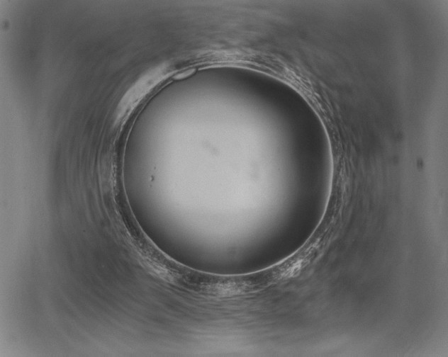 X0000068260103200604211055