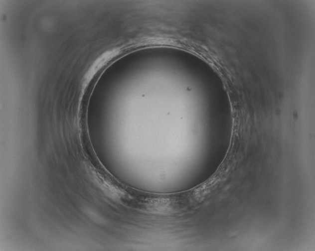 X0000068260104200604211055