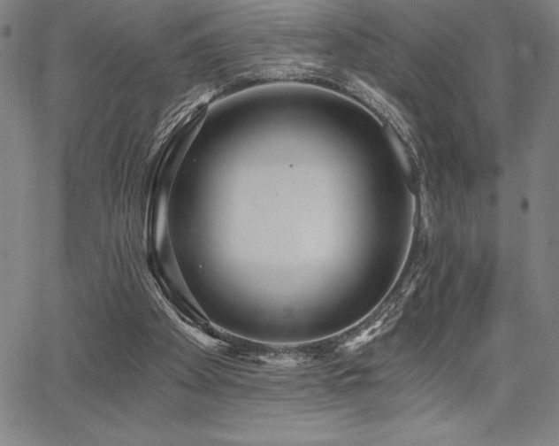 X0000068260105200604211055