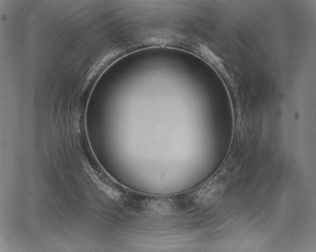 X0000068260106200604211055