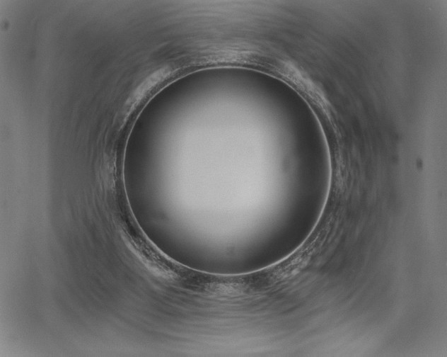 X0000068260107200604211055