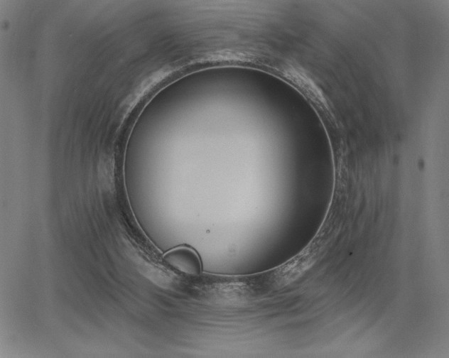 X0000068260108200604211055