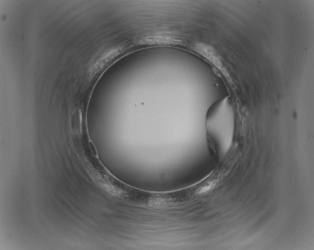 X0000068260109200604211055