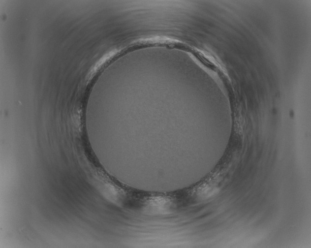 X0000068260111200604211055