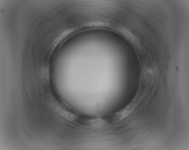 X0000068260112200604211055