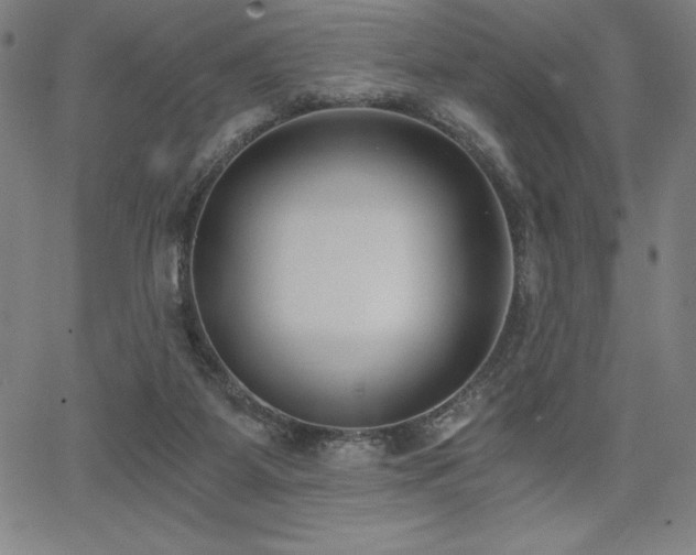 X0000068260115200604211054