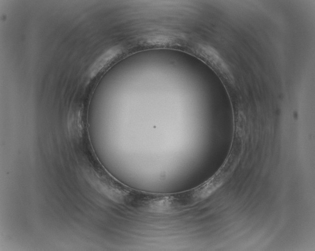 X0000068260116200604211054