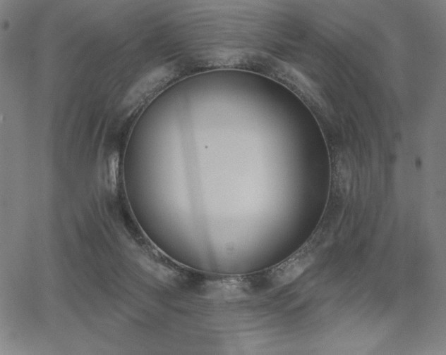 X0000068260118200604211054