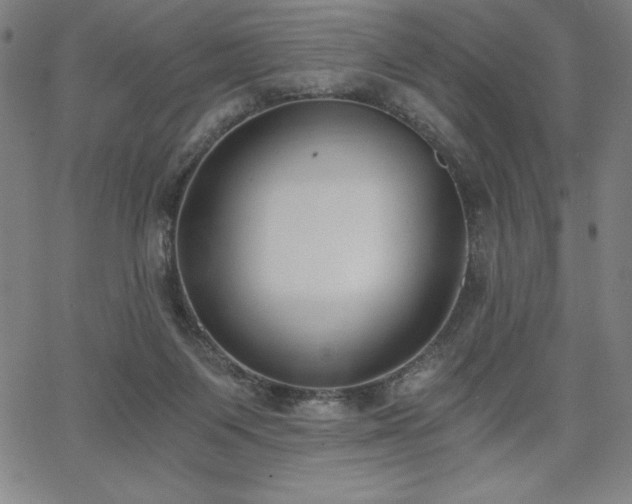 X0000068260119200604211054