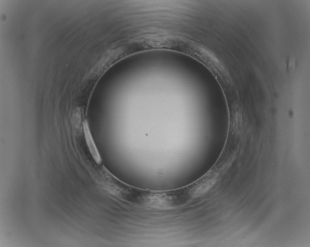 X0000068260121200604211054