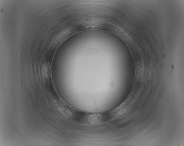 X0000068260126200604211054