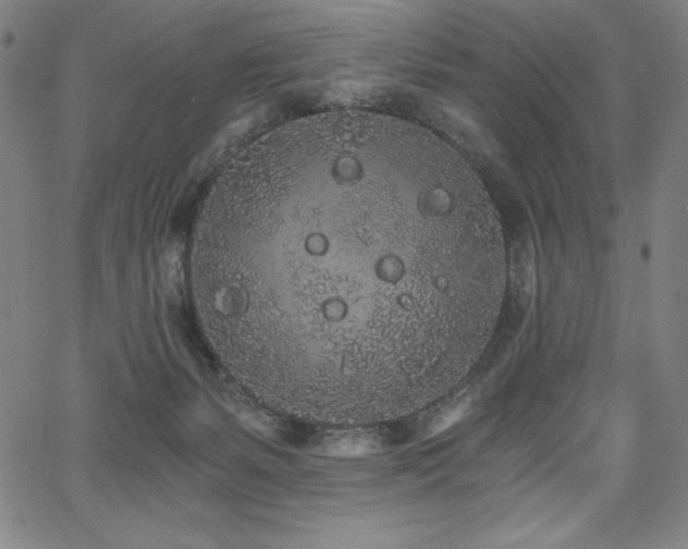 X0000068260127200604211054