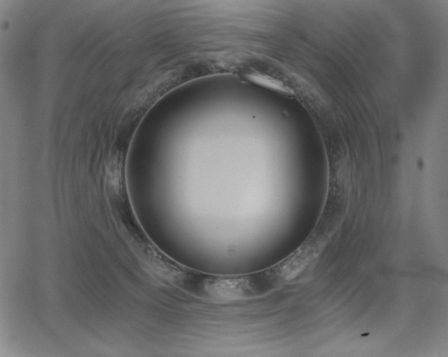 X0000068260129200604211054