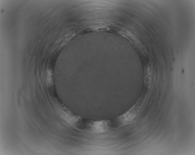 X0000068260130200604211054