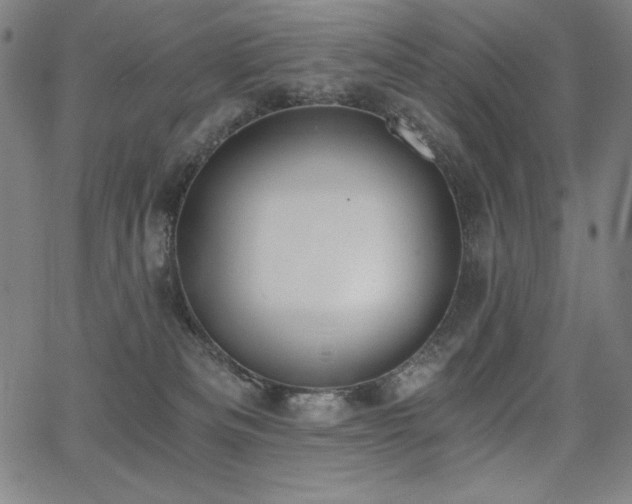 X0000068260133200604211054