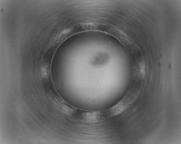 X0000068260134200604211054