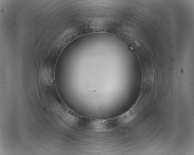 X0000068260136200604211054